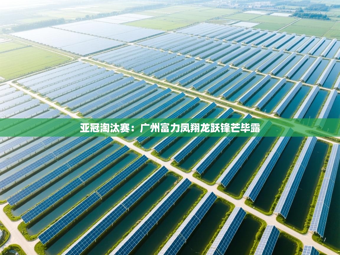 亚冠淘汰赛:广州富力凤翔龙跃锋芒毕露 第2张